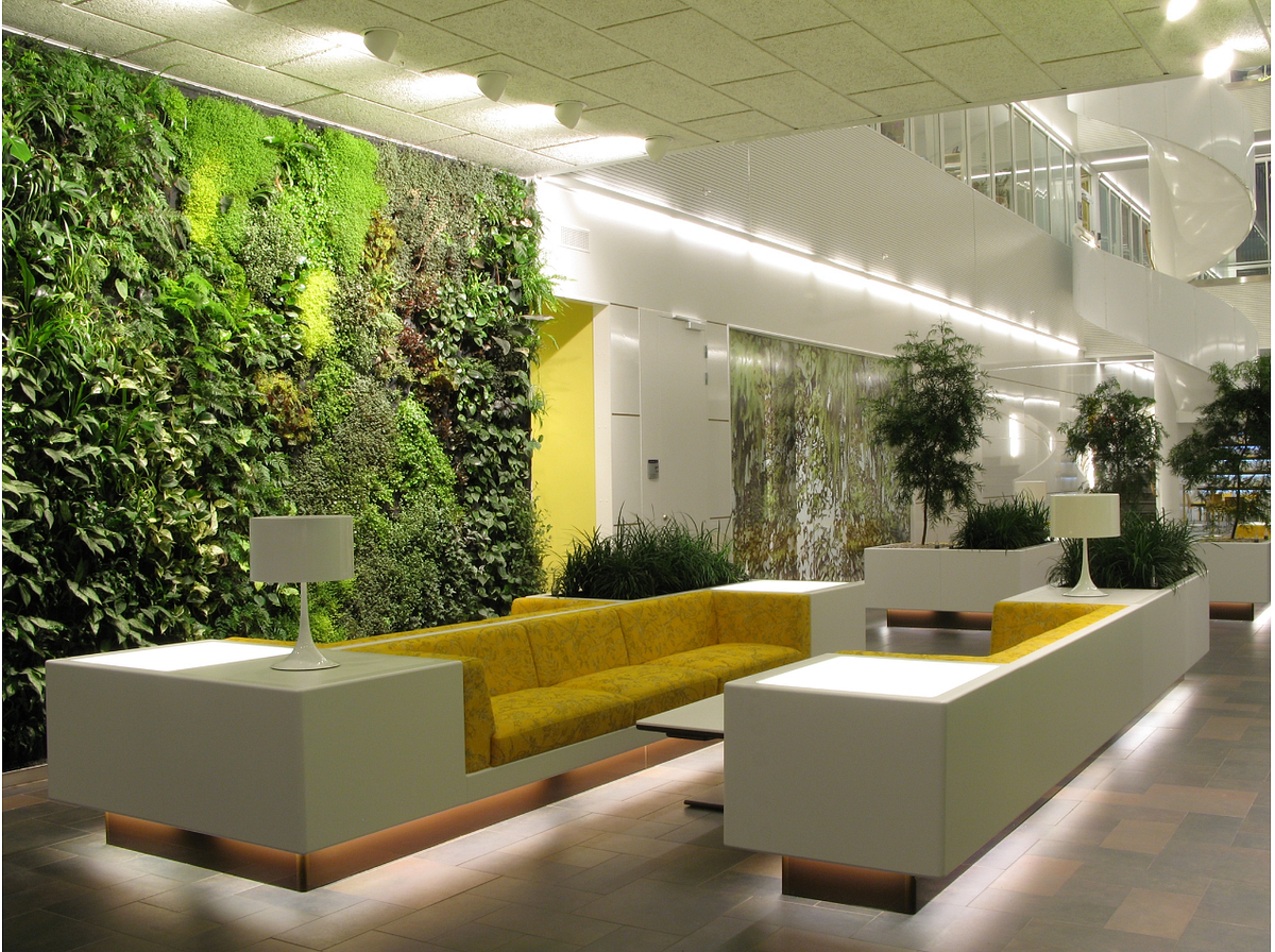 Bright commercial interior with greenery and layered wall finishes